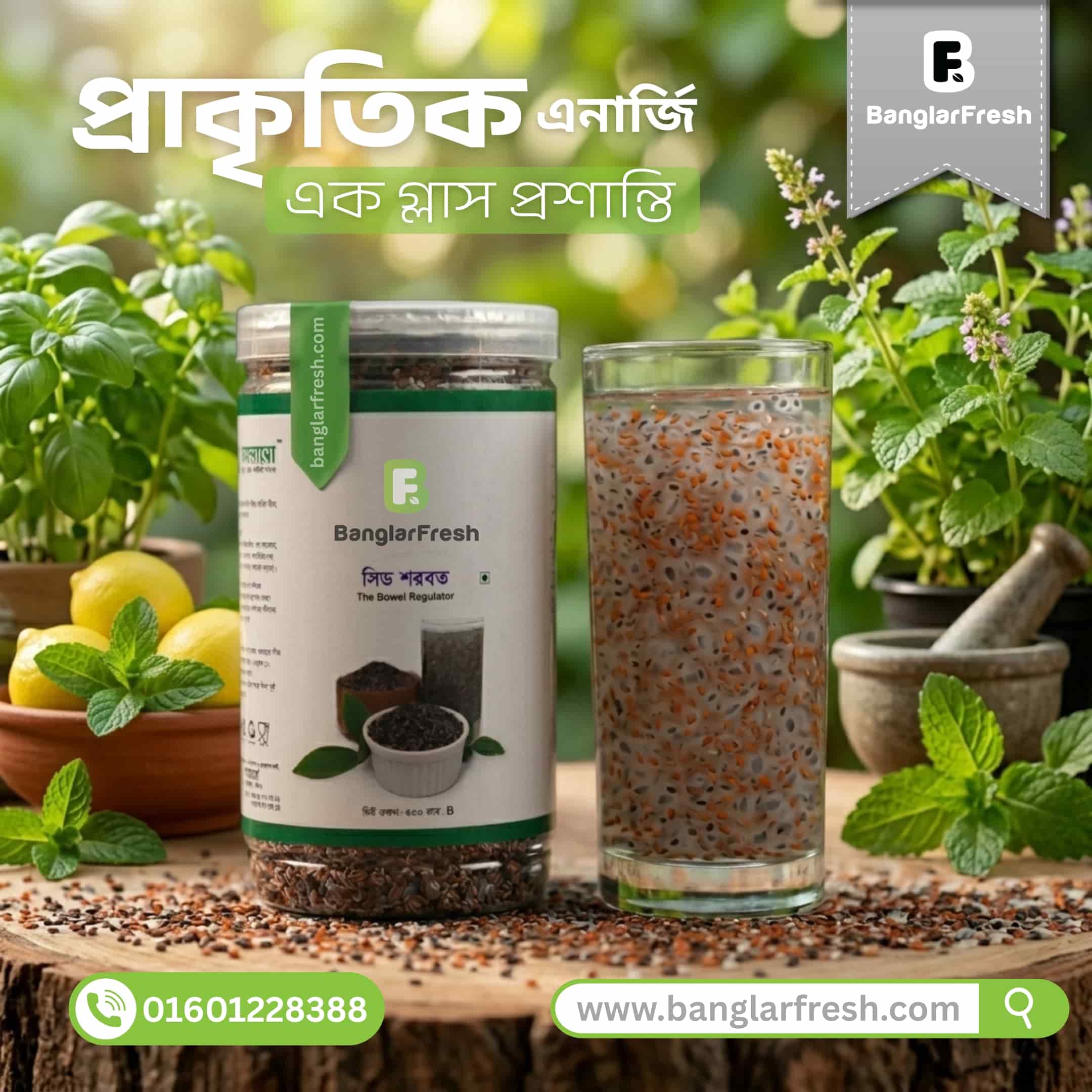 সিড শরবত | Seed Shorbot